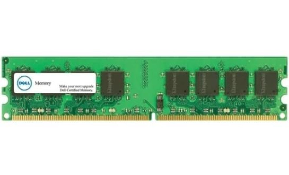 SNPVDFYDC/16G